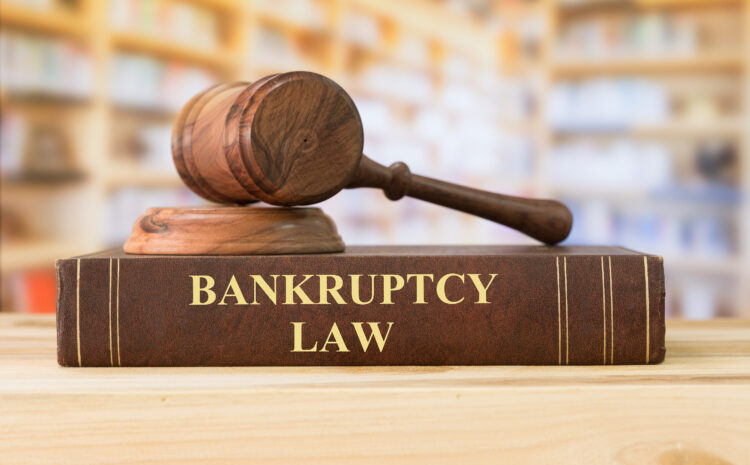  What Happens If a Property Owner Files for Bankruptcy After a Tax Sale?