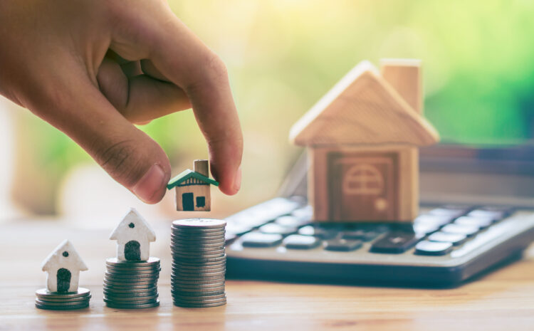 Can You Really Get a House for Pennies on the Dollar? The Truth About Tax Sale Hype