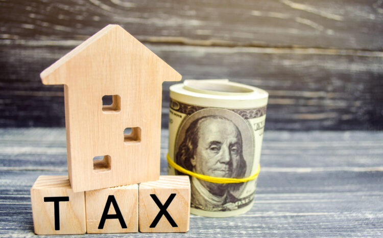  Buying a Maryland Tax Sale Property in December—How Can I Spot Redemption Risks Early?